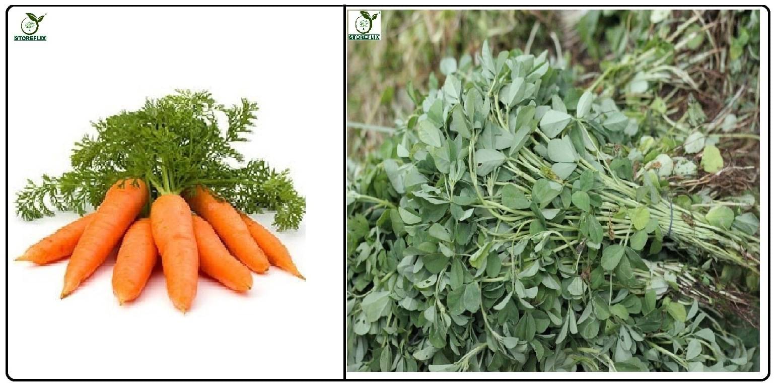 carrot 150 seeds and methi 150 seeds pack with user manual for home kitchen gradening use carrot 150 seeds and methi 150 seeds pack with user manual for home kitchen gradening use
