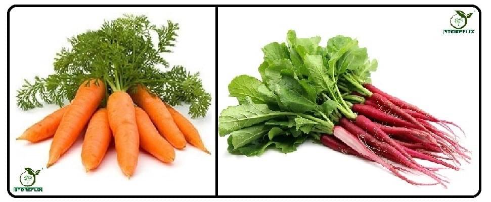 carrot 150 seeds and red radish ( laal muli ) 50 seeds pack with user manual for home kitchen gradening use carrot 150 seeds and red radish ( laal muli ) 50 seeds pack with user manual for home kitchen gradening use
