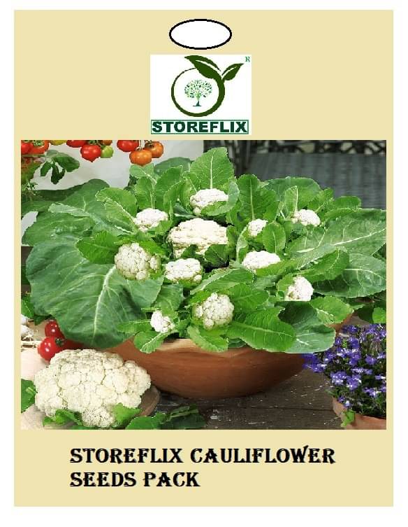     			cauliflower 100 seeds pack with user manual for home kitchen gradening use