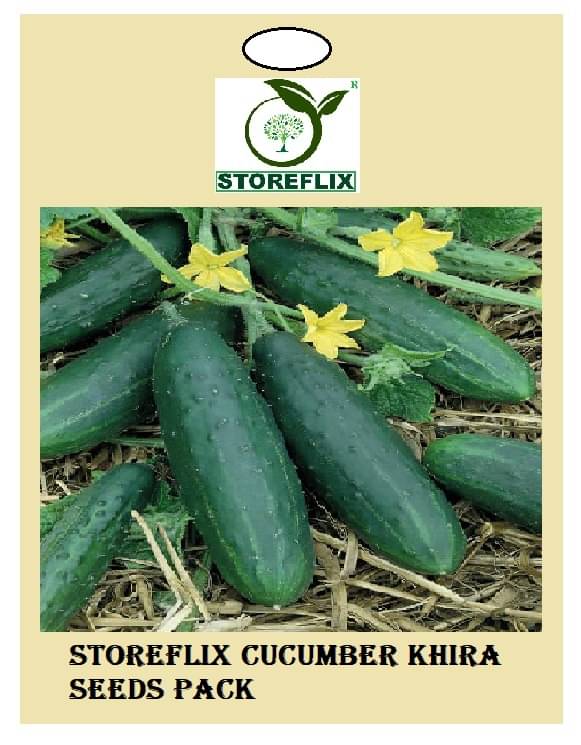 cucumber (khira) 50 seeds pack with user manual for home kitchen gradening use cucumber (khira) 50 seeds pack with user manual for home kitchen gradening use