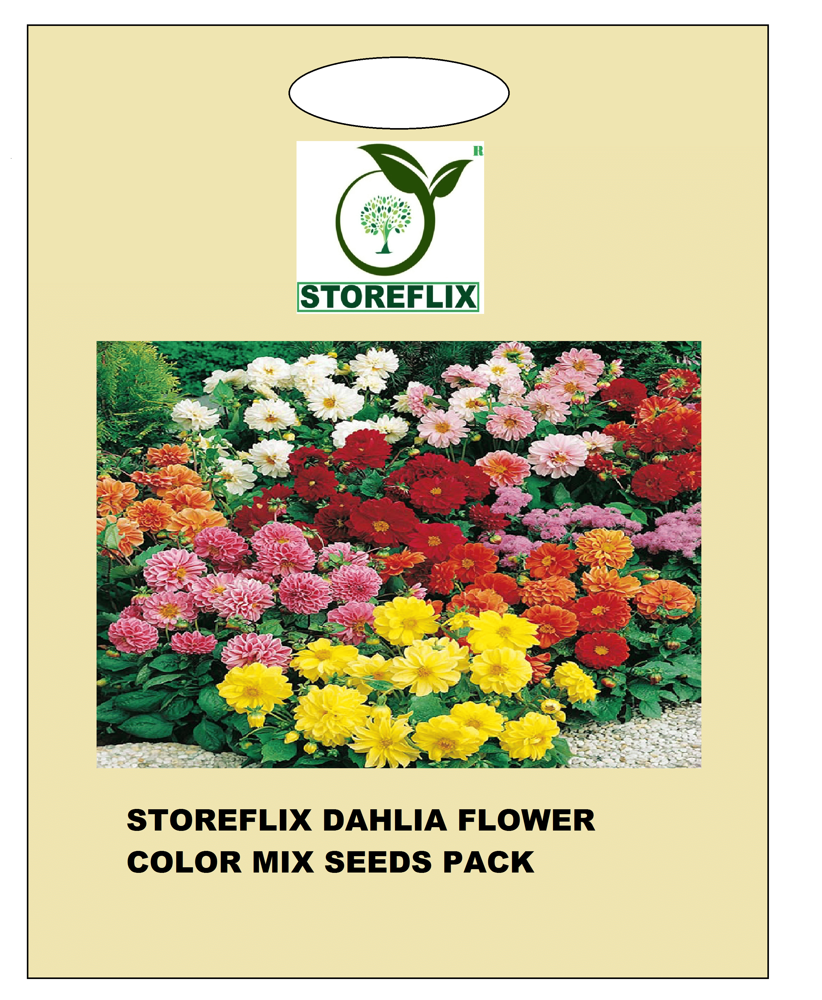 dahlia color mix flower 30 seeds pack with free cocopeat and user manual dahlia color mix flower 30 seeds pack with free cocopeat and user manual