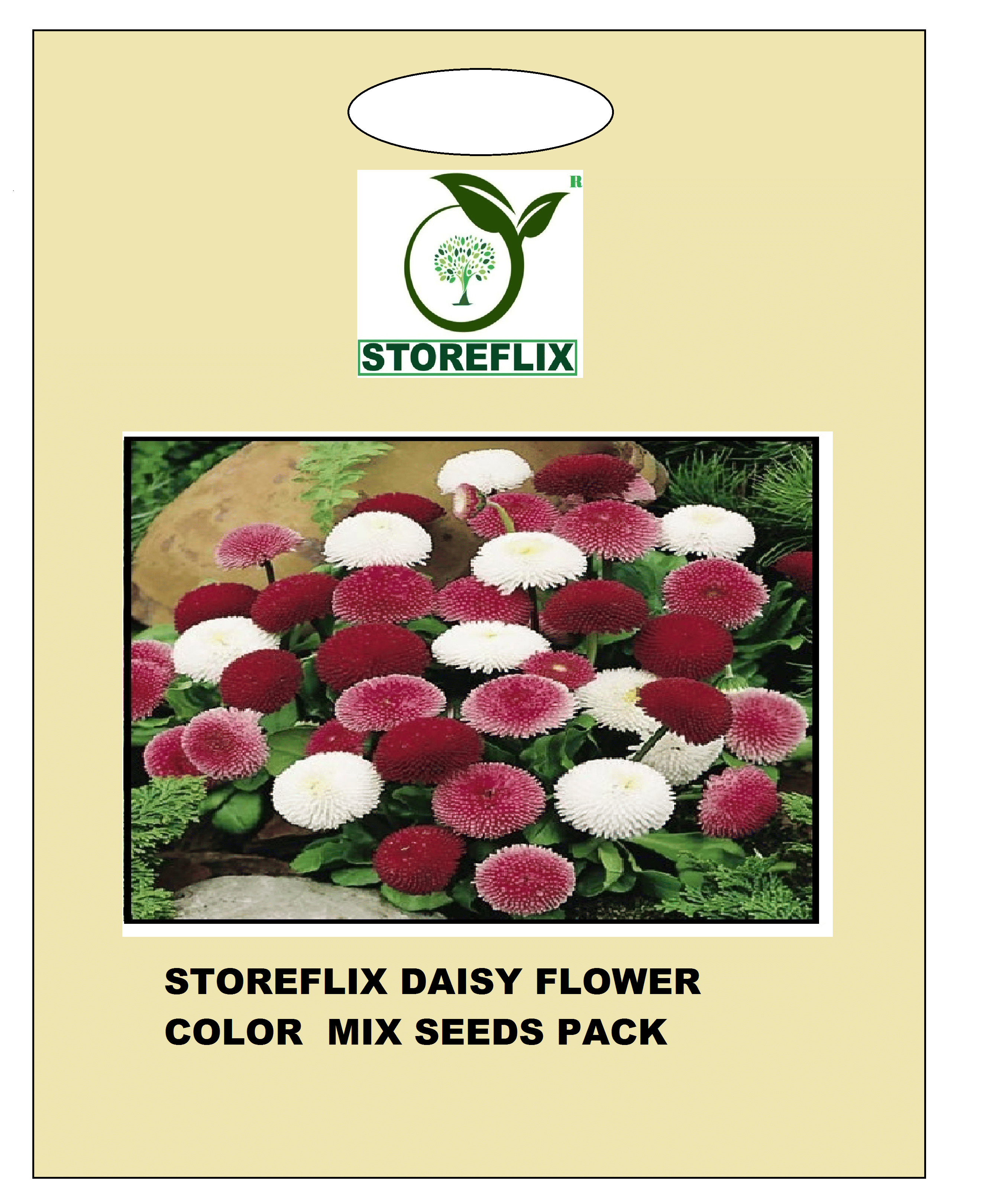 daisy flower 30 seeds pack with free cocopeat and user manual daisy flower 30 seeds pack with free cocopeat and user manual