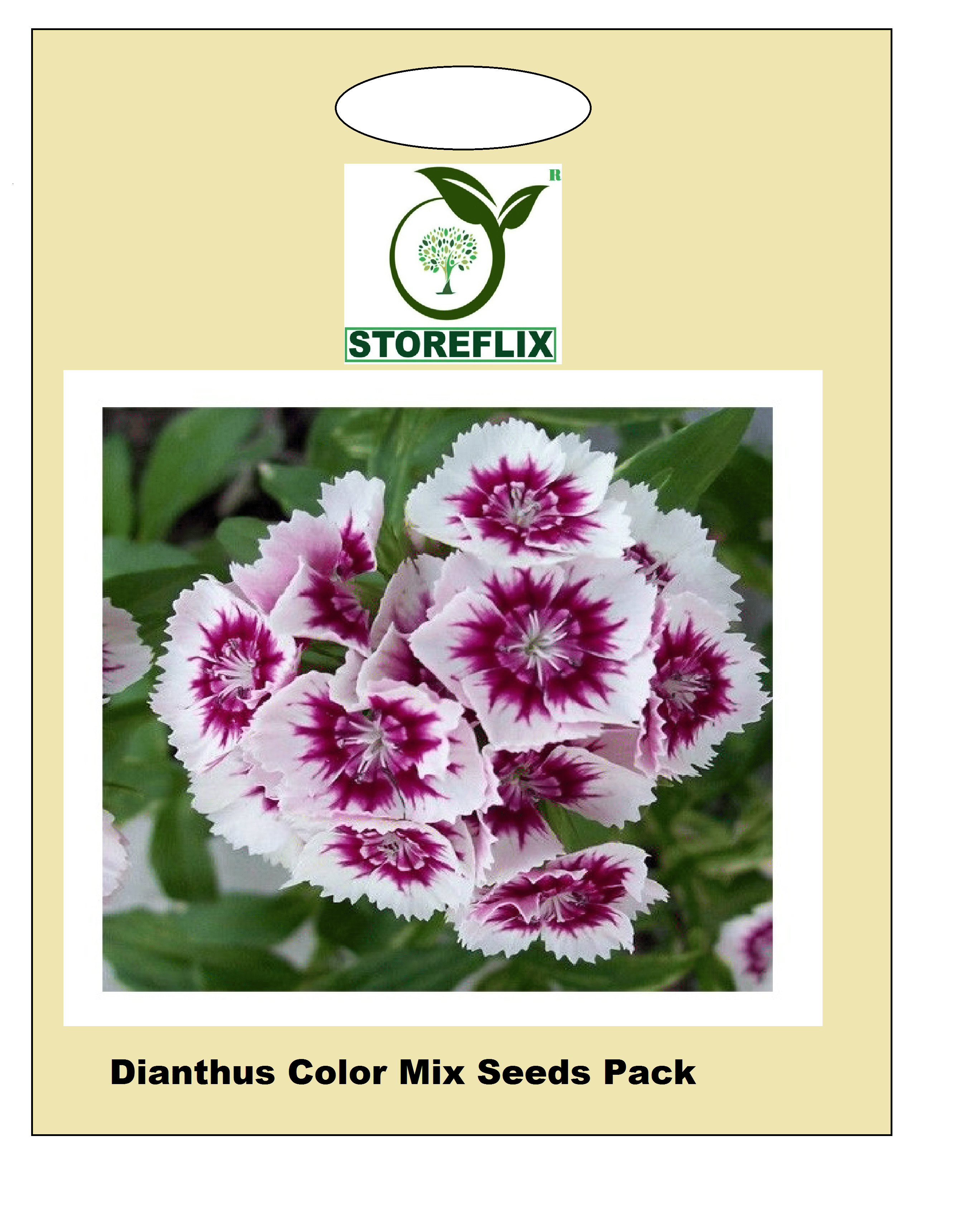 dianthus flower 50 seeds pack with free cocopeat and user manual dianthus flower 50 seeds pack with free cocopeat and user manual