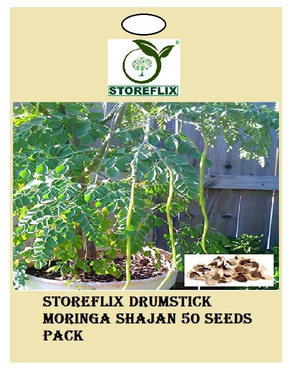 drumstick moringa 50 seeds pack with user manual for home kitchen gradening use drumstick moringa 50 seeds pack with user manual for home kitchen gradening use
