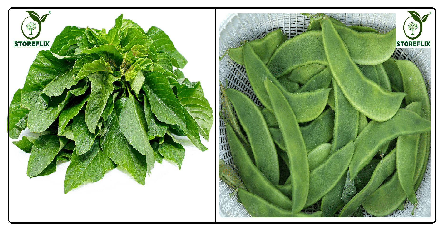 green amaranthus hari chaulai 200 seeds and sem 20 seeds pack with user manual for home kitchen gradening use     			green amaranthus hari chaulai 200 seeds and sem 20 seeds pack with user manual for home kitchen gradening use