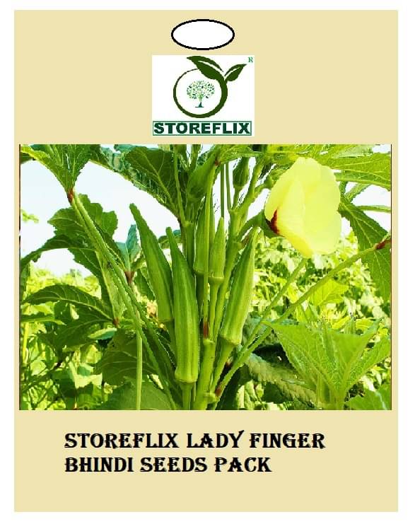 lady finger bhindi 40 seeds pack with user manual for home kitchen gradening use lady finger bhindi 40 seeds pack with user manual for home kitchen gradening use