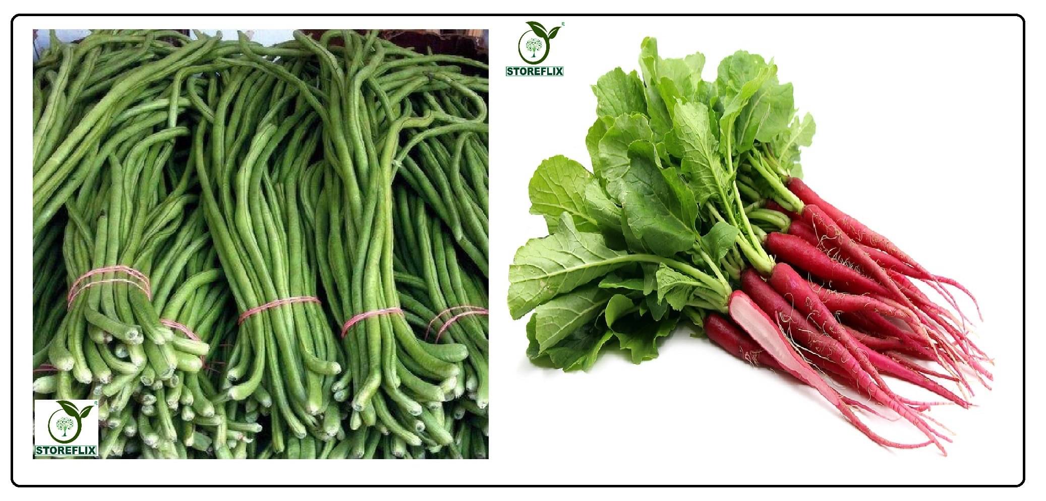 lobiya 20 seeds and red radish (laal muli) 50 seeds pack with user manual for home kitchen gradening use lobiya 20 seeds and red radish (laal muli) 50 seeds pack with user manual for home kitchen gradening use