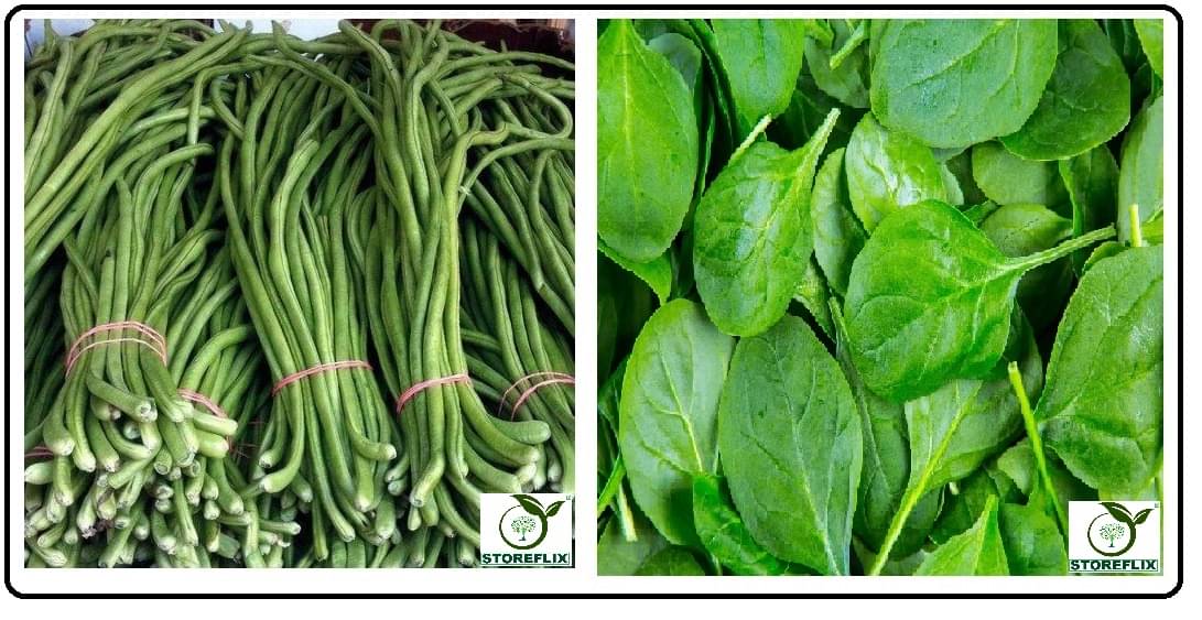 lobiya 20 seeds and spinach (palak) 100 seeds pack with user manual for home kitchen gradening use lobiya 20 seeds and spinach (palak) 100 seeds pack with user manual for home kitchen gradening use