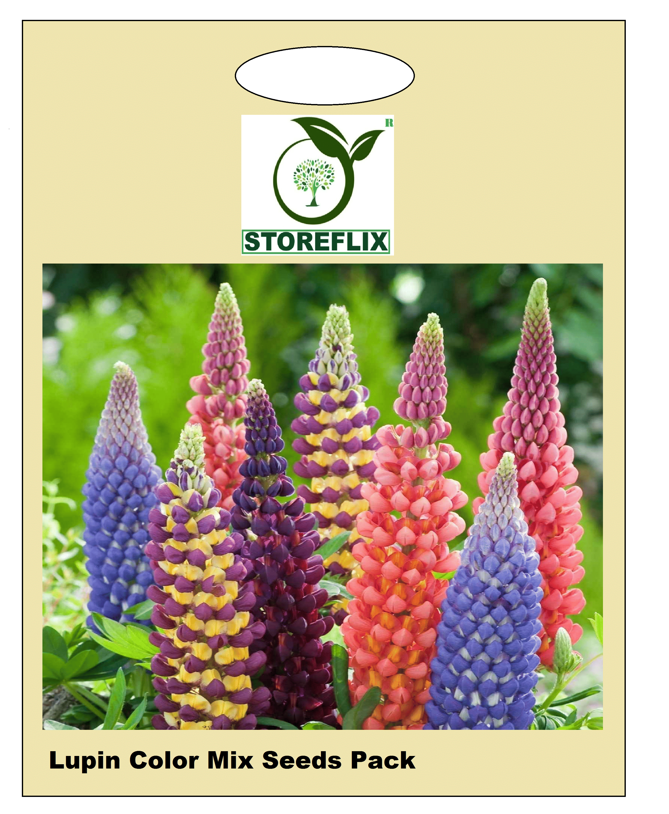 lupin flower 20 seeds pack with free cocopeat and user manual lupin flower 20 seeds pack with free cocopeat and user manual