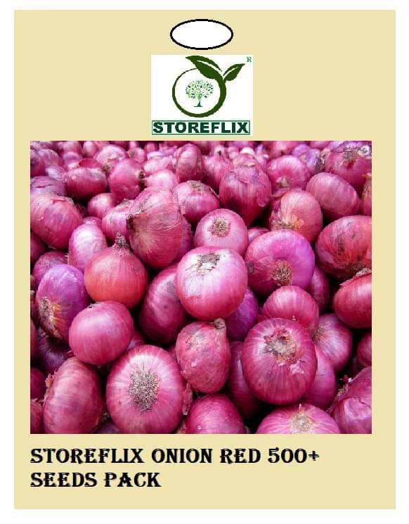     			onion red  500+ seeds pack with user manual for home kitchen gradening use