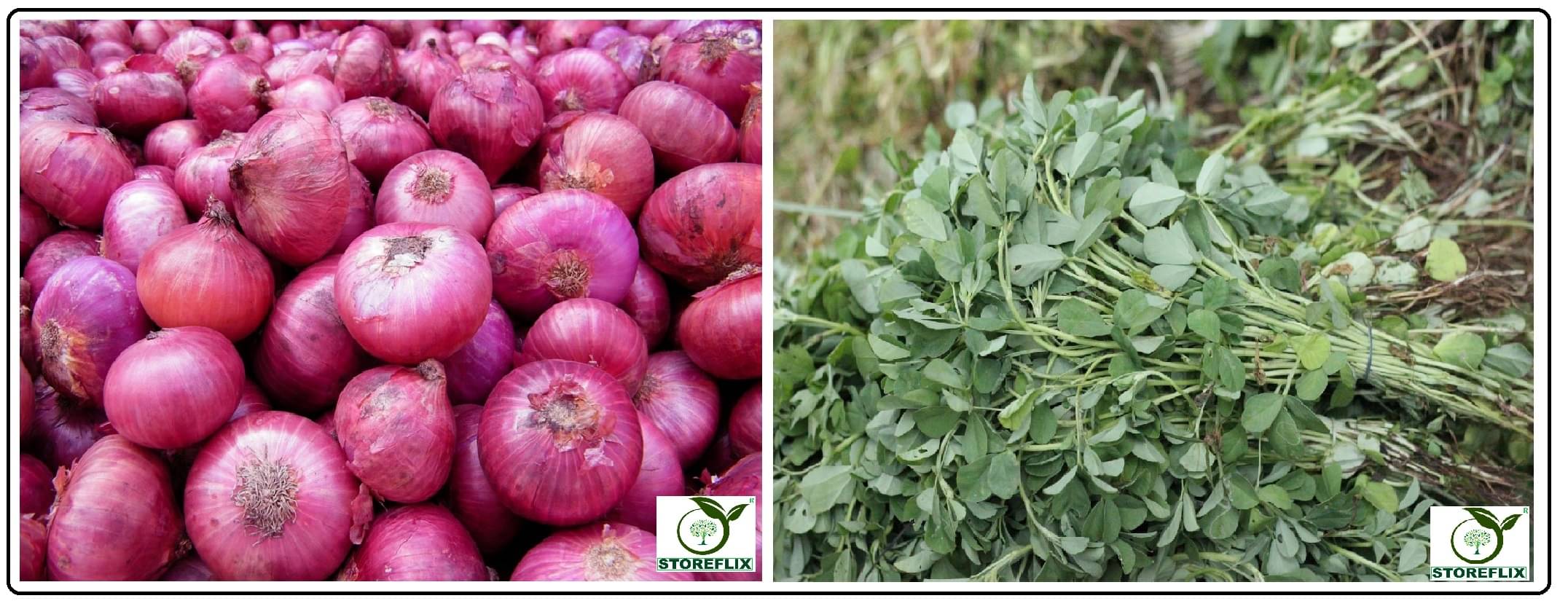 onnion red 200 seeds and methi 150 seeds pack with user manual for home kitchen gradening use onnion red 200 seeds and methi 150 seeds pack with user manual for home kitchen gradening use
