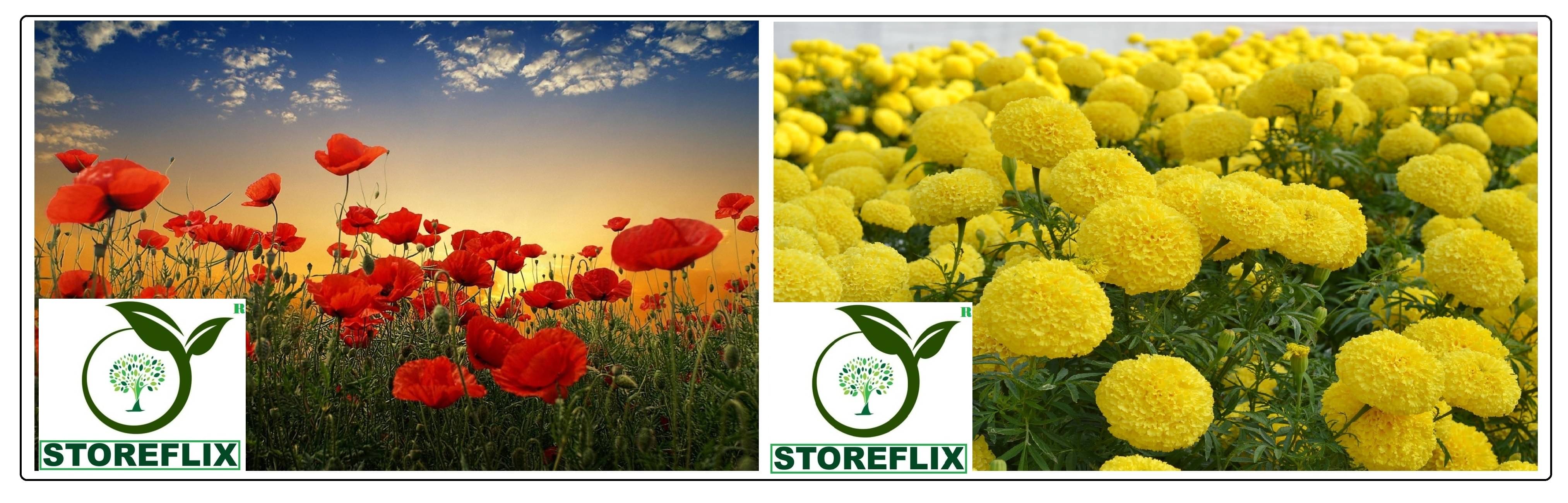     			poppy red flower 50 seeds and yellow marigold flower 50 seeds pack with free cocopeat and user manual