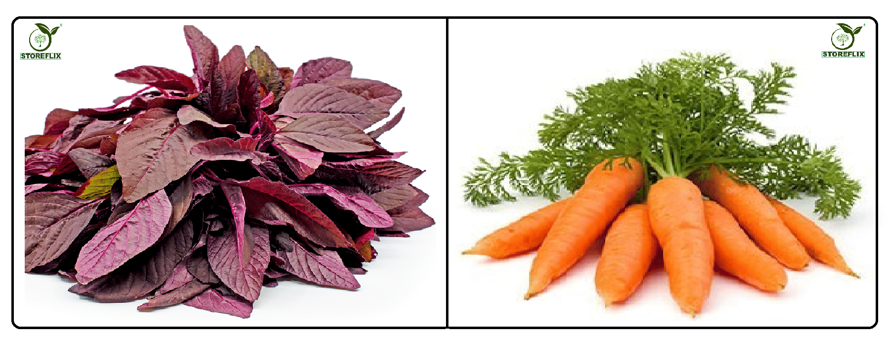 red amaranthus (laal chaulai ) 200 seeds and carrot 150 seeds pack with user manual for home kitchen gradening use red amaranthus (laal chaulai ) 200 seeds and carrot 150 seeds pack with user manual for home kitchen gradening use