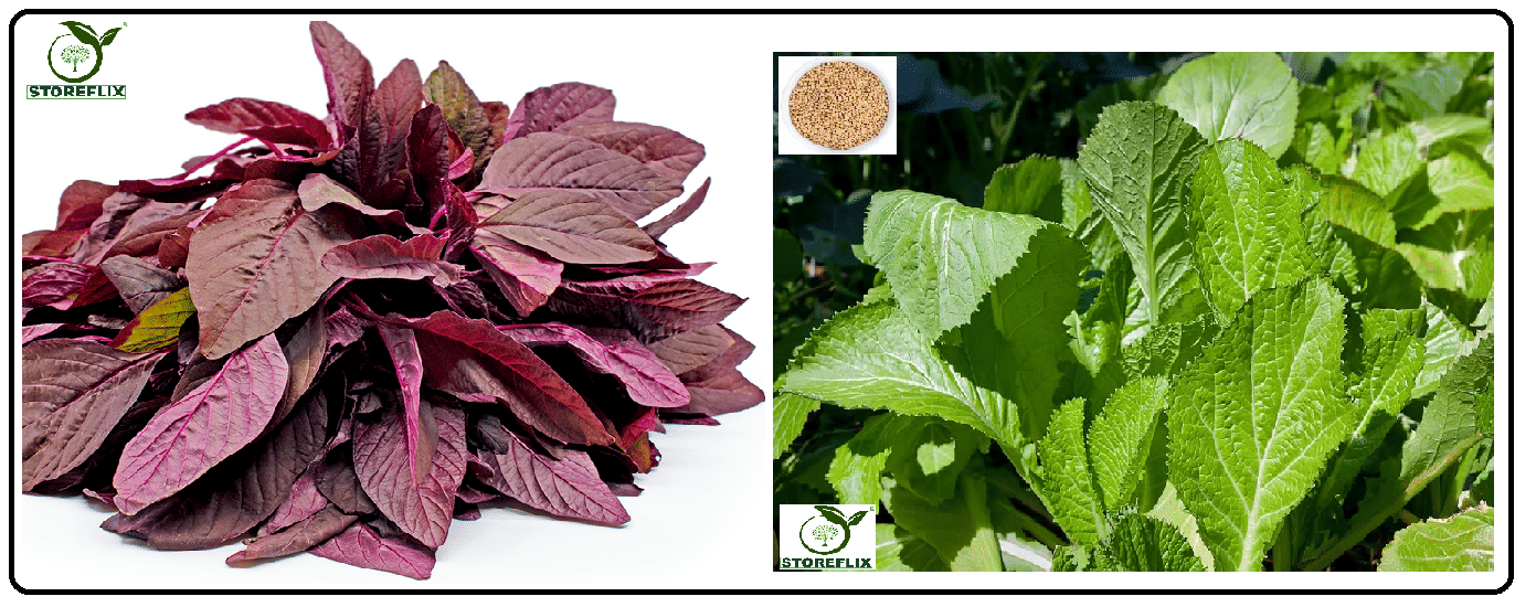 red amaranthus (laal chaulai) 200 seeds and white mustard 200 seeds pack with user manual for home kitchen gradening use red amaranthus (laal chaulai) 200 seeds and white mustard 200 seeds pack with user manual for home kitchen gradening use