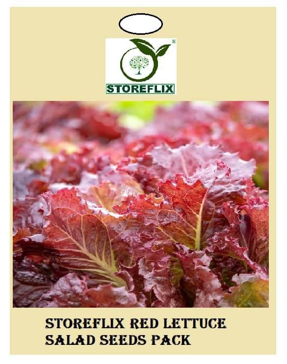red lettuce 100 seeds pack with user manual for home kitchen gradening use red lettuce 100 seeds pack with user manual for home kitchen gradening use