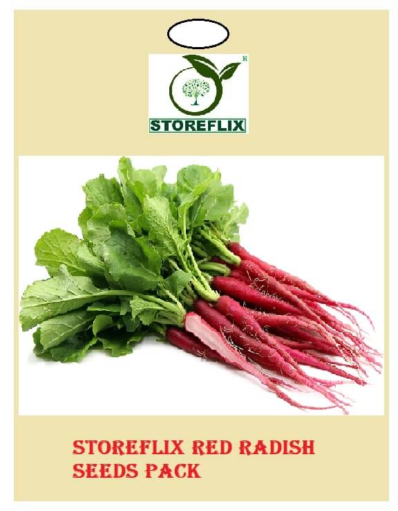     			red radish (laal muli) 50 seeds pack with user manual for home kitchen gradening use