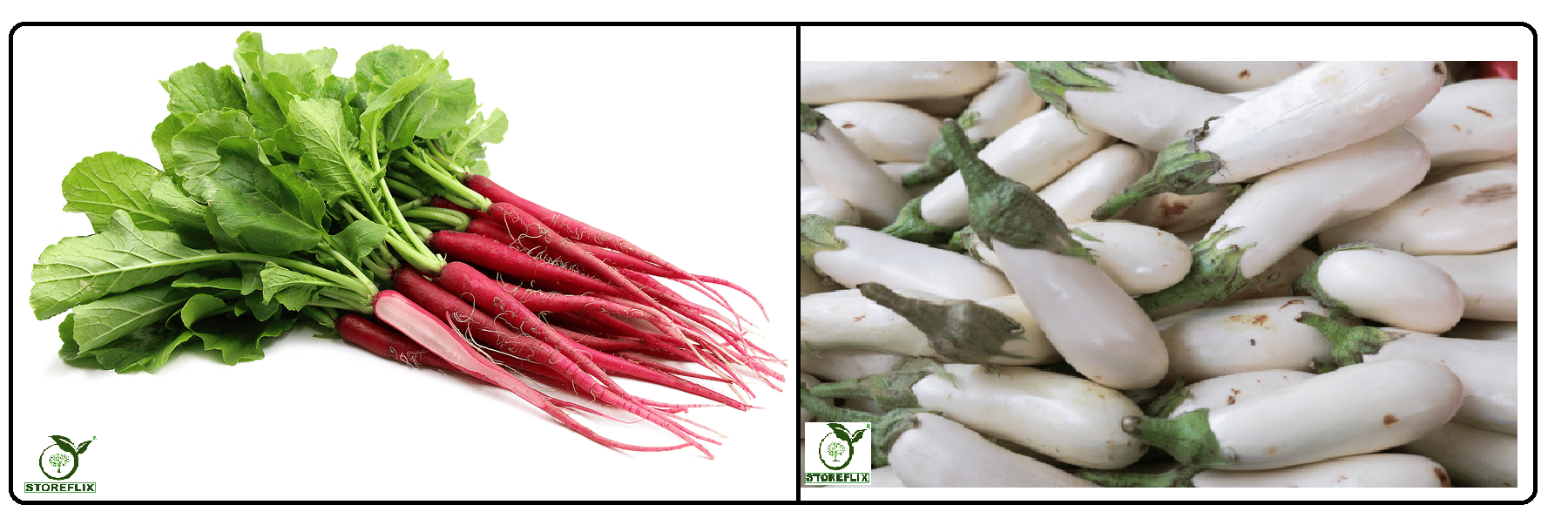 red radish (muli) 50 seeds and brinjal white med long 100 seeds pack with user manual for home kitchen gradening use red radish (muli) 50 seeds and brinjal white med long 100 seeds pack with user manual for home kitchen gradening use