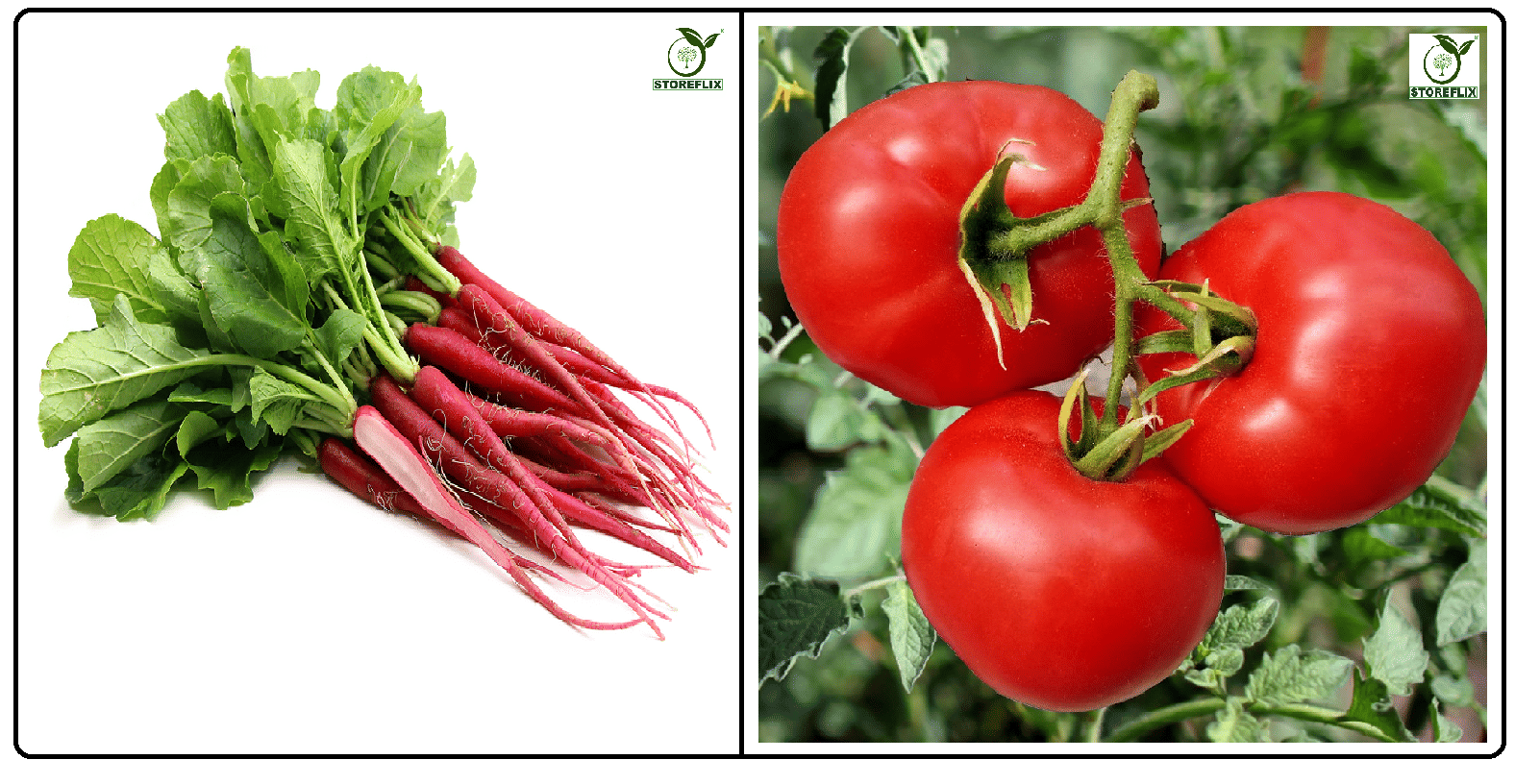     			red radish (muli) 50 seeds and tomato 100  seeds pack with user manual for home kitchen gradening use