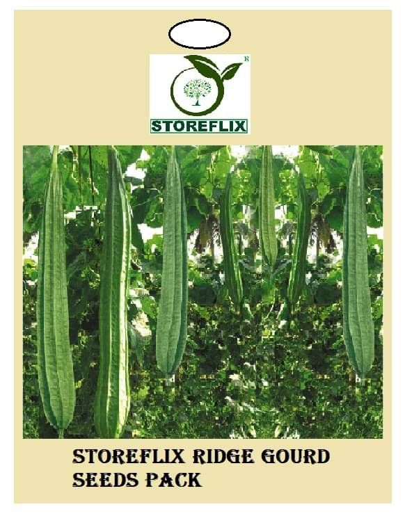 ridge gourd 20 seeds pack with user manual for home kitchen gradening use ridge gourd 20 seeds pack with user manual for home kitchen gradening use