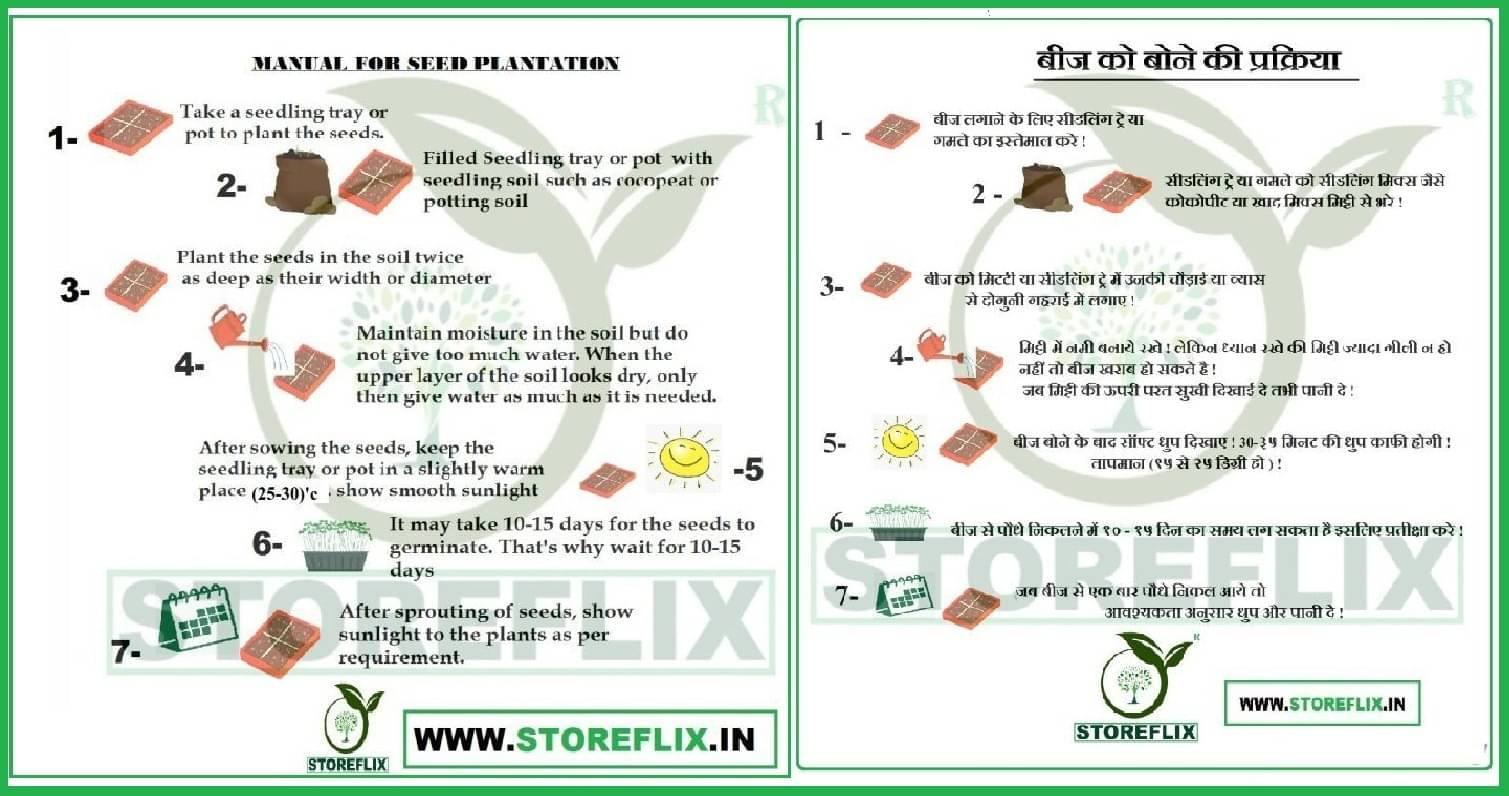     			snake gourd 20 seeds and knol khol 50  seeds pack with user manual for home kitchen gradening use