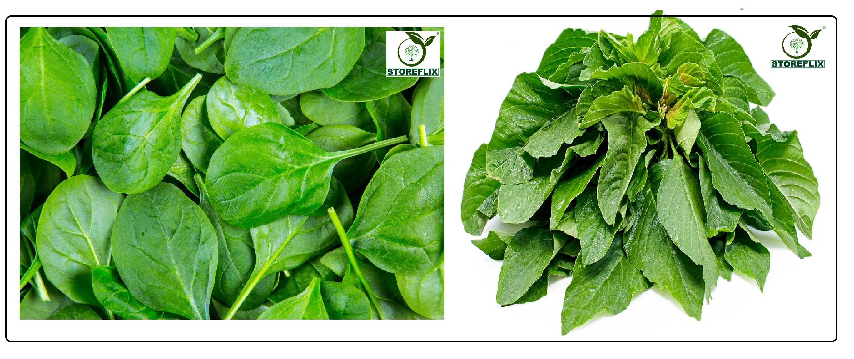 spinach (palak) 100 seeds and green amaranthus ( hari chaulai ) 200 seeds pack with user manual for home kitchen gradening use spinach (palak) 100 seeds and green amaranthus ( hari chaulai ) 200 seeds pack with user manual for home kitchen gradening use
