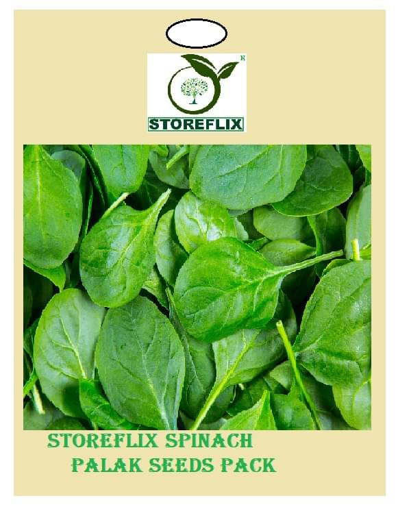 spinach (palak) 100 seeds pack with user manual for home kitchen gradening use spinach (palak) 100 seeds pack with user manual for home kitchen gradening use