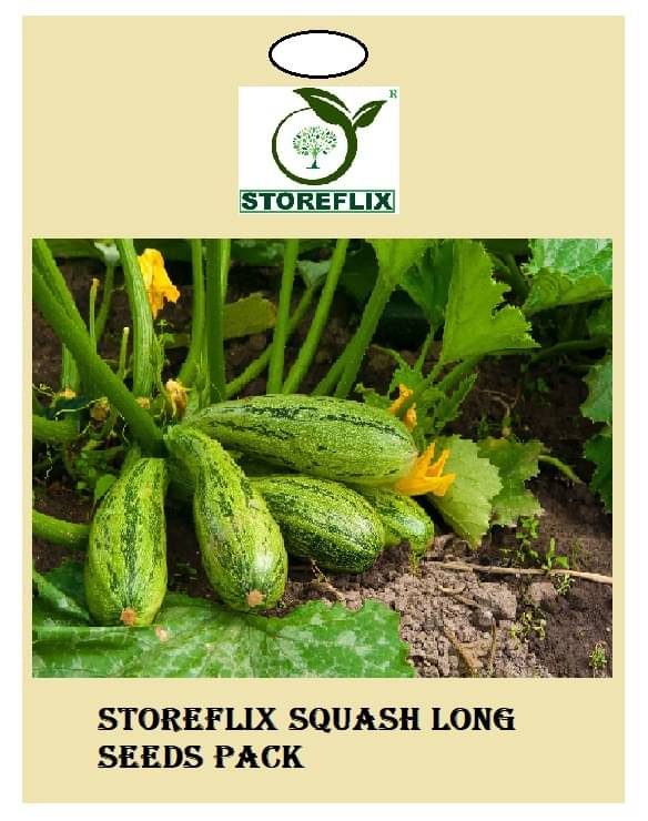 squash long 10 seeds pack with user manual for home kitchen gradening use squash long 10 seeds pack with user manual for home kitchen gradening use