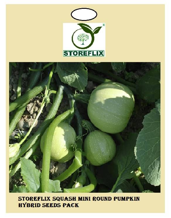     			squash mini round pumpkin 10  seeds pack with user manual for home kitchen gradening use