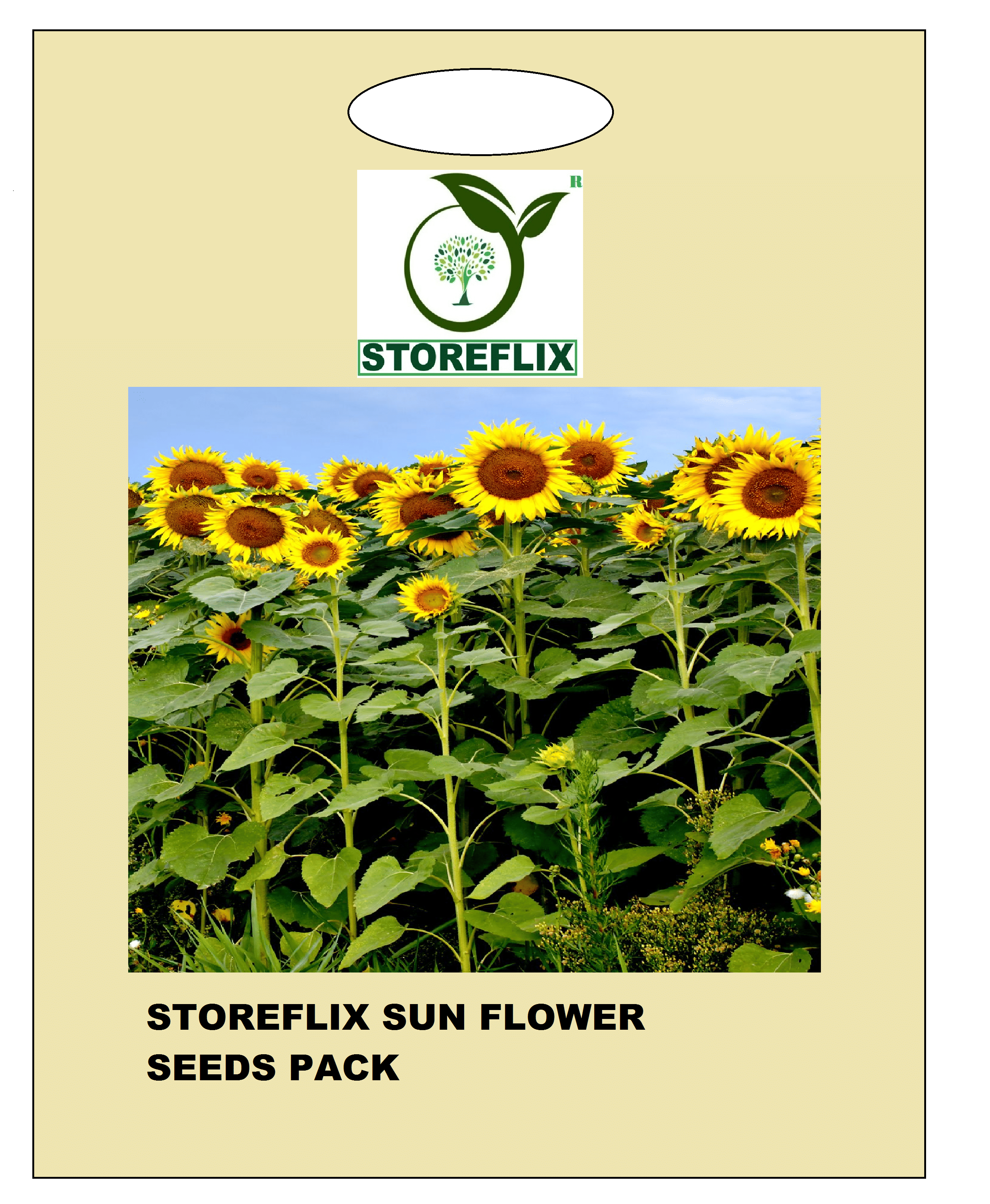     			sunflower 10 seeds pack with free cocopeat and user manual