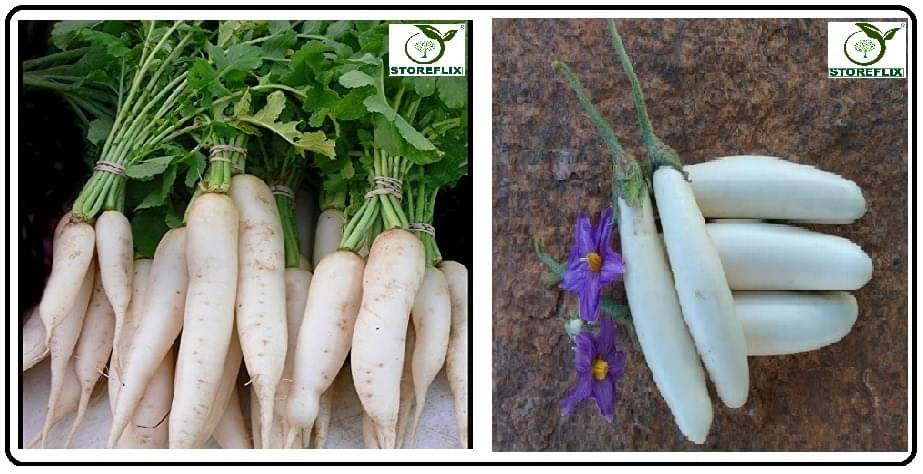 white radish 50 seeds and brinjal white long 100 seeds pack with user manual for home kitchen gradening use white radish 50 seeds and brinjal white long 100 seeds pack with user manual for home kitchen gradening use
