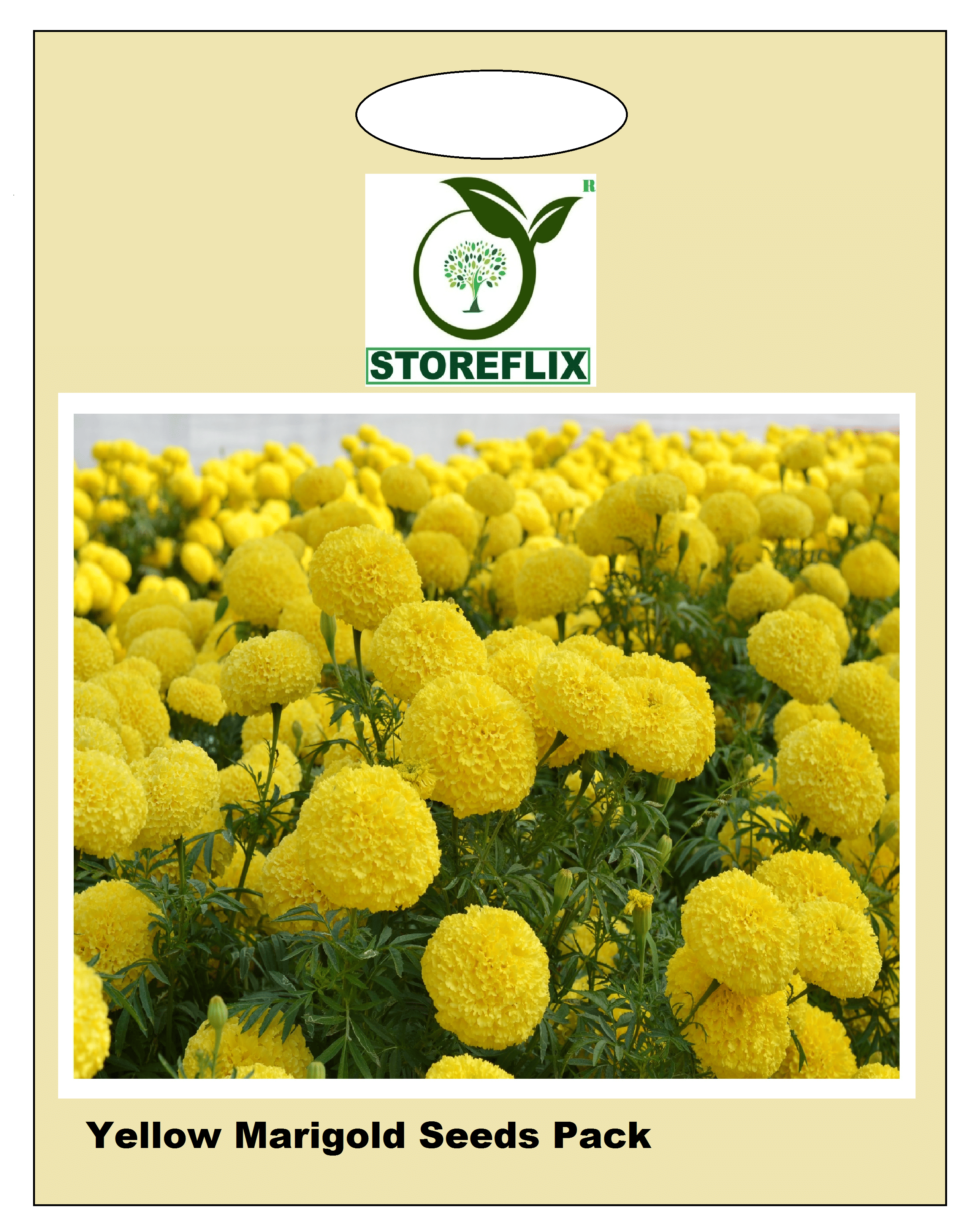 yellow marigold flower 50 seeds pack with free cocopeat and user manual yellow marigold flower 50 seeds pack with free cocopeat and user manual