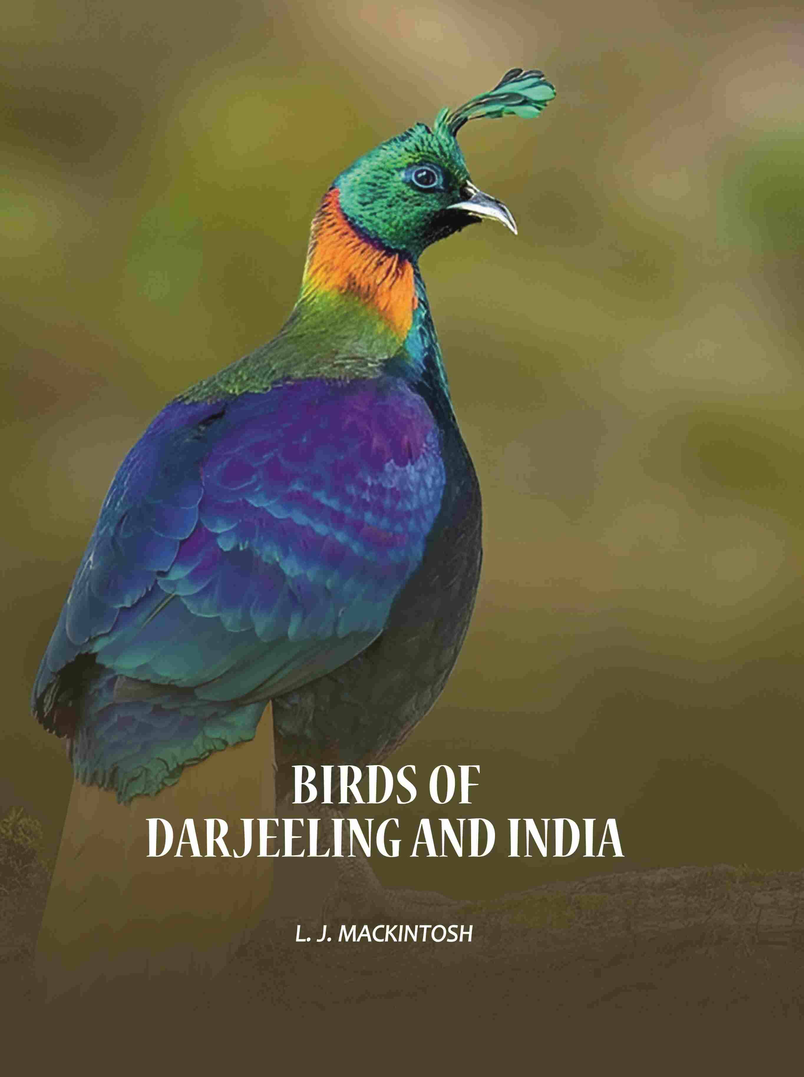     			Birds of Darjeeling and India