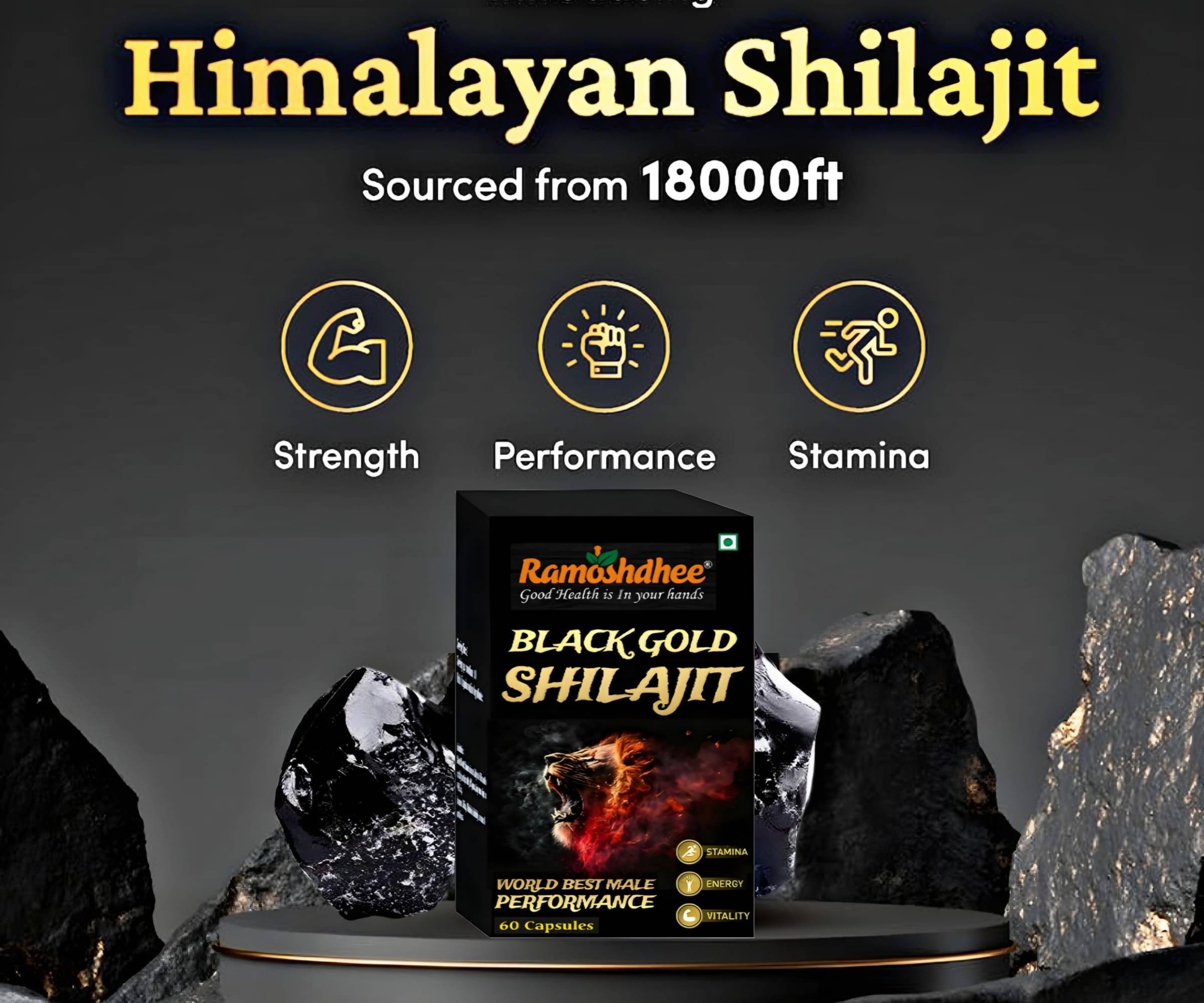 Shilajit Gold | Boosts Stamina | Contains 24 Carat Gold, 100% Ayurvedic Shilajit Gold | Boosts Stamina | Contains 24 Carat Gold, 100% Ayurvedic