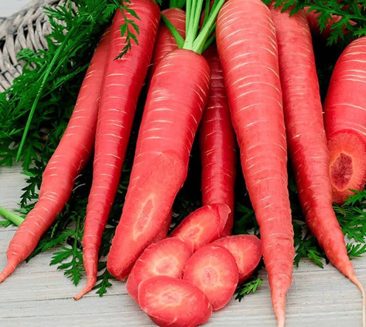Carrot Seeds - Grow Sweet & Crunchy Carrots at Home Carrot Seeds - Grow Sweet & Crunchy Carrots at Home