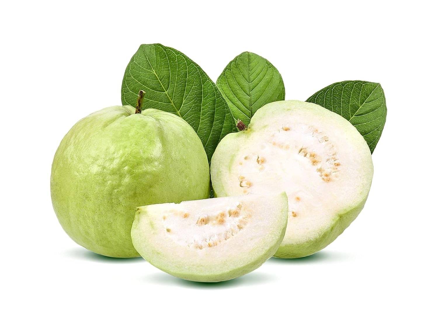 Guava (Amrood) Seeds for Your Home & Kitchen Garden Guava (Amrood) Seeds for Your Home & Kitchen Garden