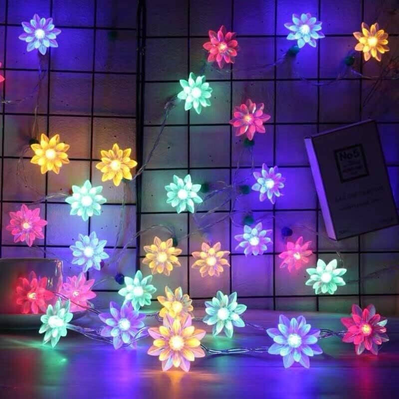     			NSCC Multicolor 3M String Light ( Pack of 1 )