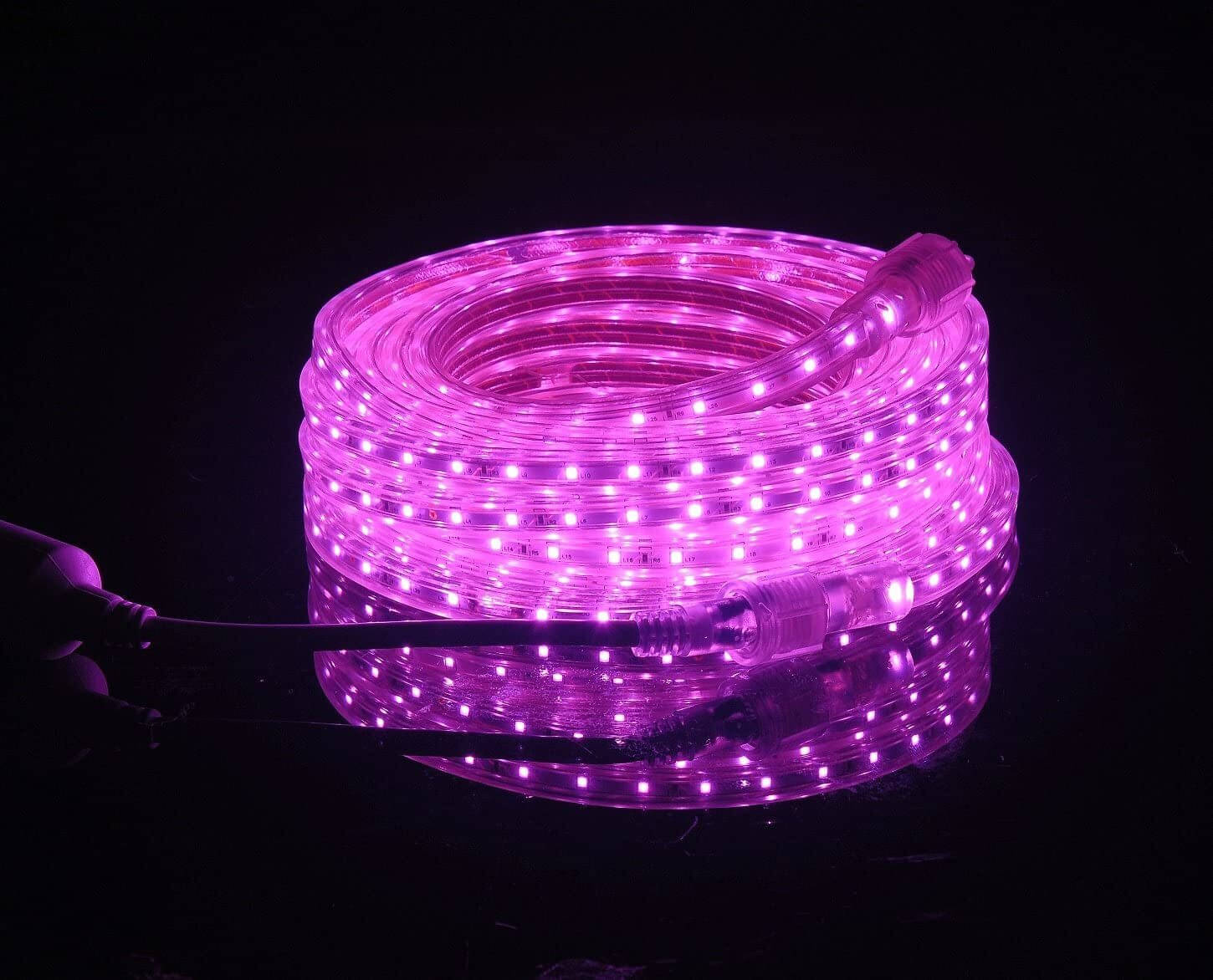     			NSCC Pink 5M String Light ( Pack of 1 )