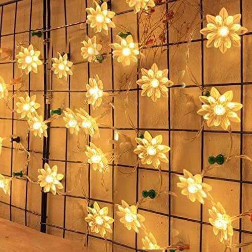     			NSCC Yellow 5M String Light ( Pack of 1 )