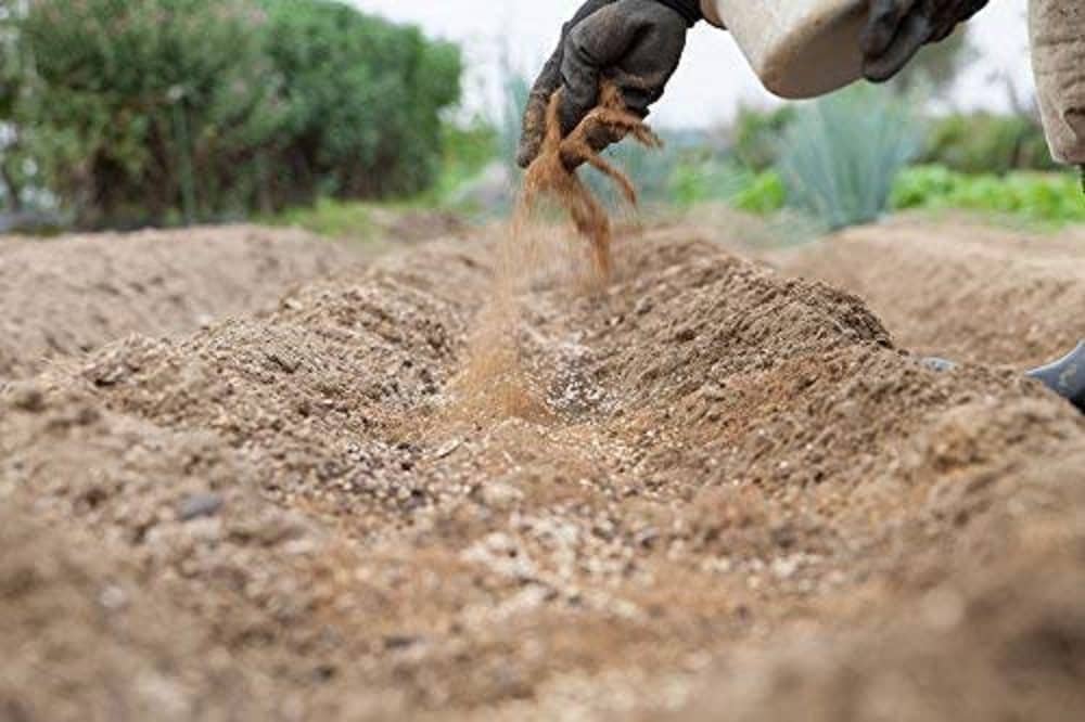 Bone Meal Powder Fertilizer for Plants - 1 Kg