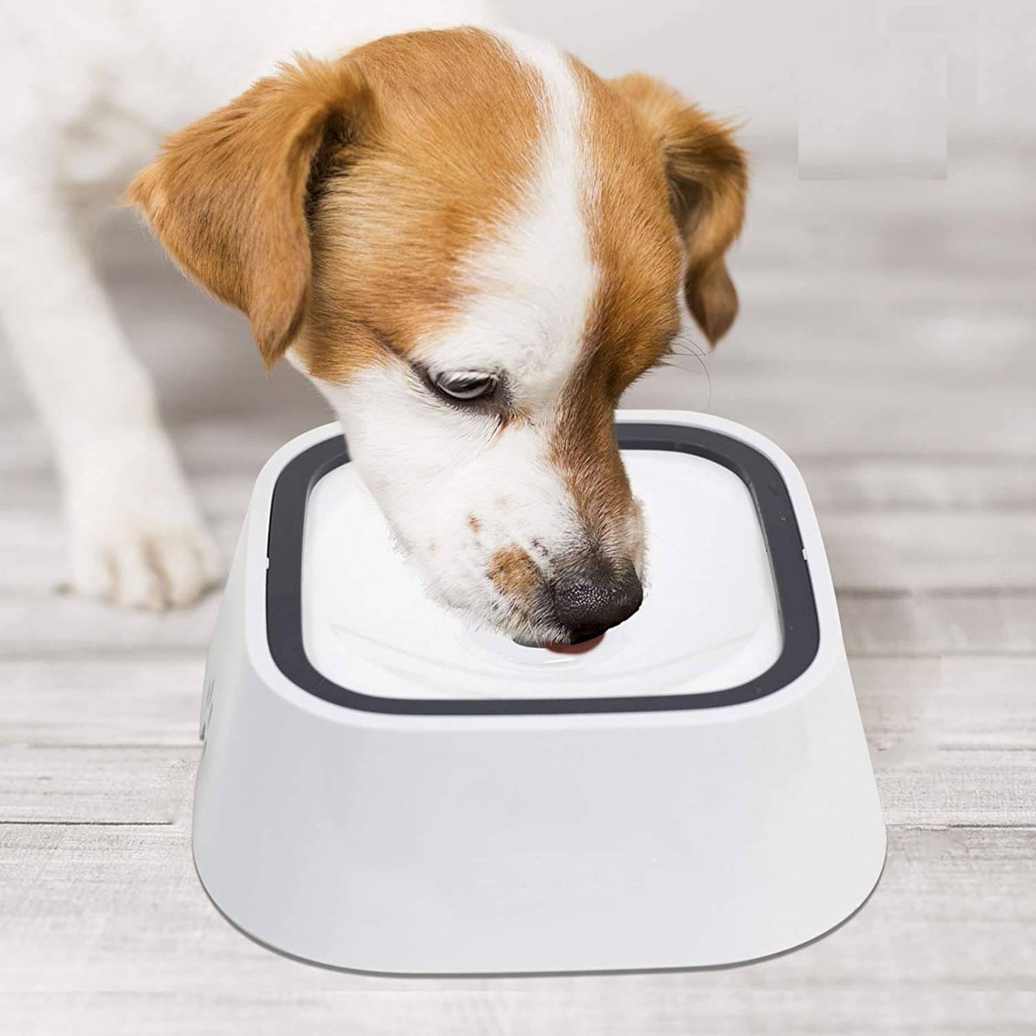 KRAMOX Dog Water Bowl no Spill, 35oz Slow Water Bowl for Dogs, BPA-Free, Anti-Splash & No-Slip Design,  Vehicle Carried Travel Spill Proof Pet Bowls, for Small Medium Cats and Pets     			KRAMOX Dog Water Bowl no Spill, 35oz Slow Water Bowl for Dogs, BPA-Free, Anti-Splash & No-Slip Design,  Vehicle Carried Travel Spill Proof Pet Bowls, for Small Medium Cats and Pets