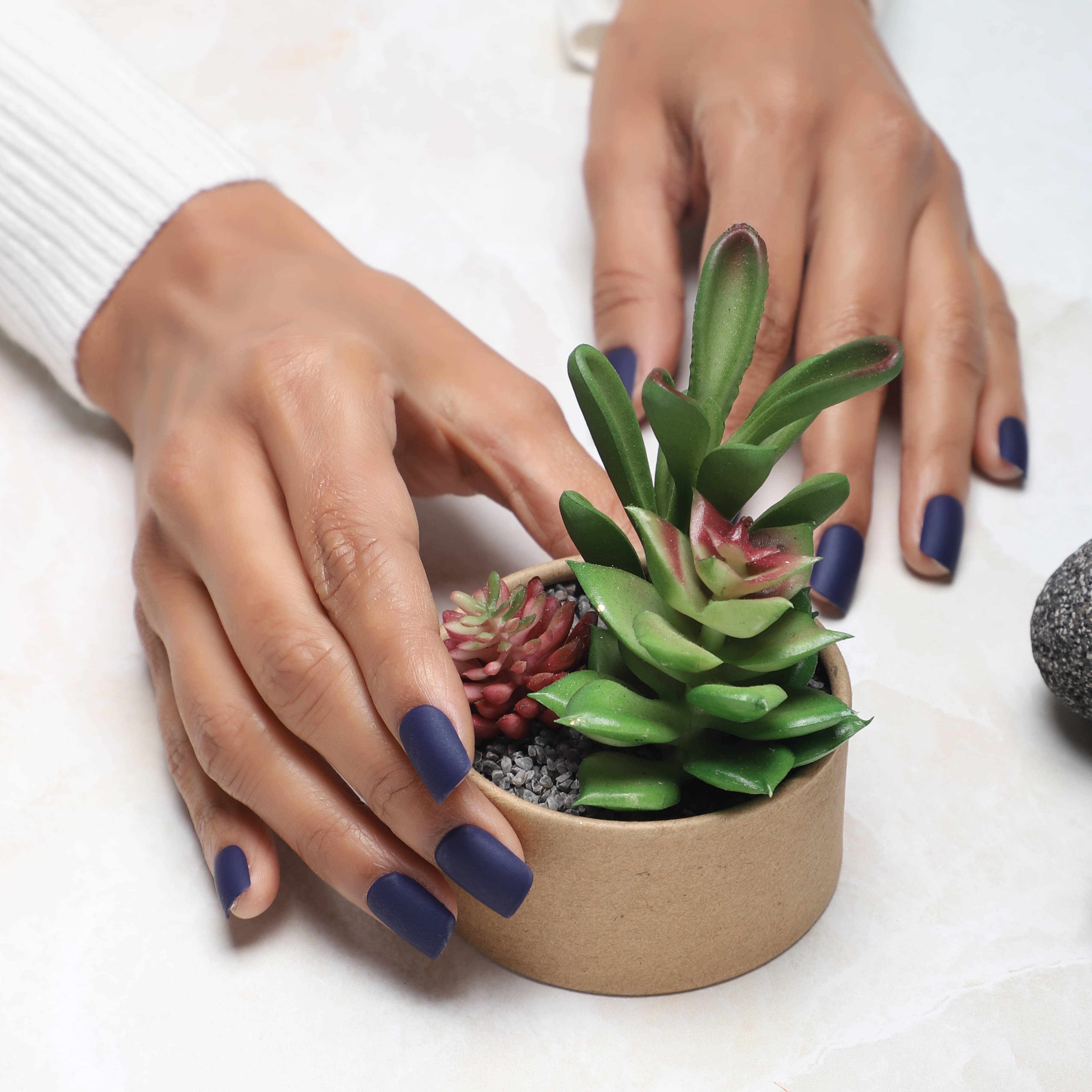     			Lick Artificial Nails and Set Square Shape Navy Blue (Pack of 24)
