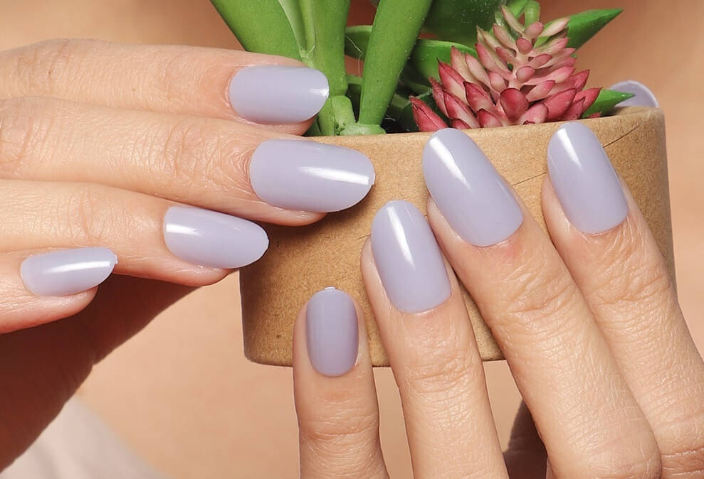     			Lick Artificial Nails and Set Dark Grey (Pack of 24)