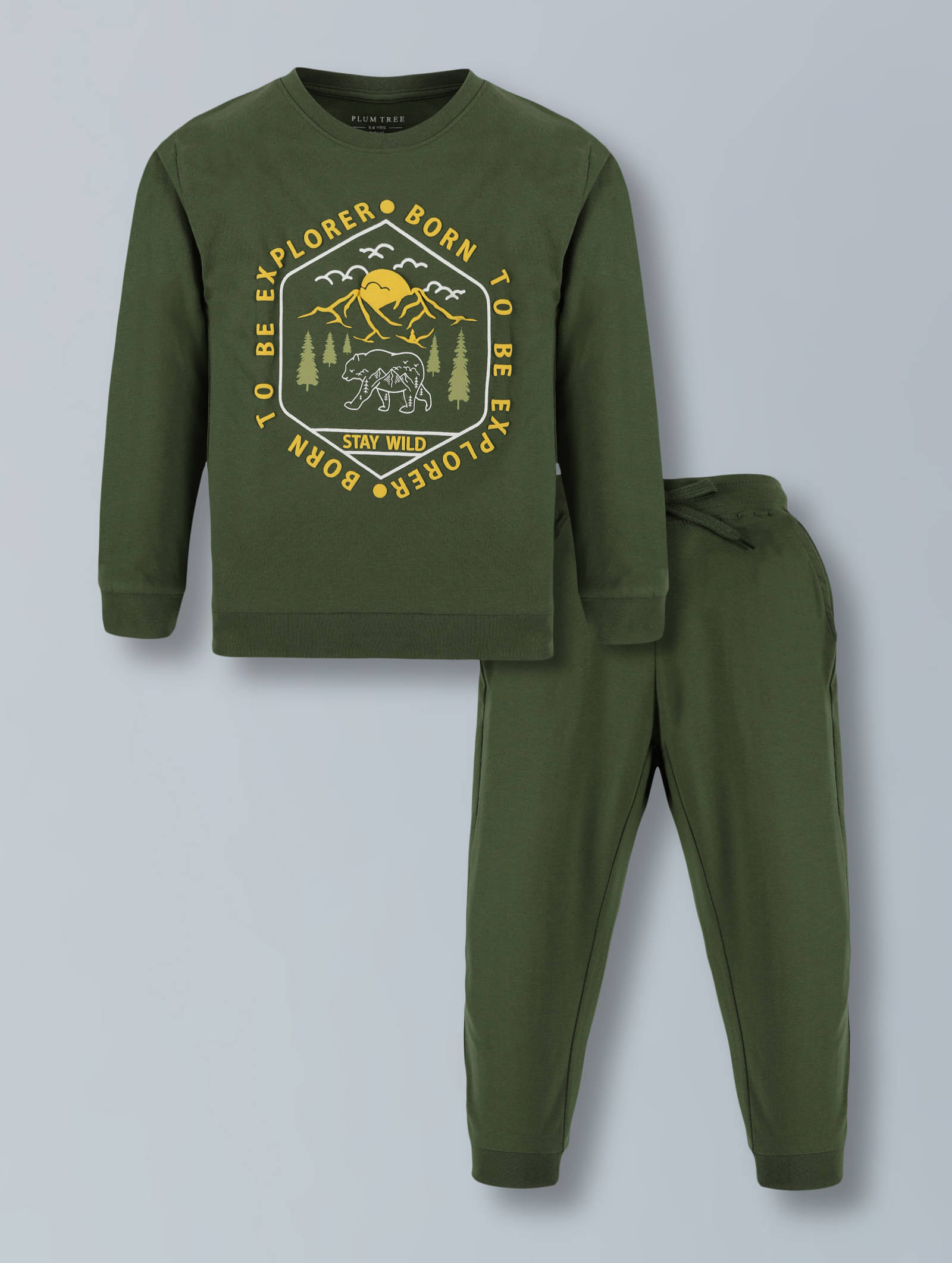     			PLUM TREE Pack of 2 Boys Cotton T-Shirt & Pants Set ( Green )