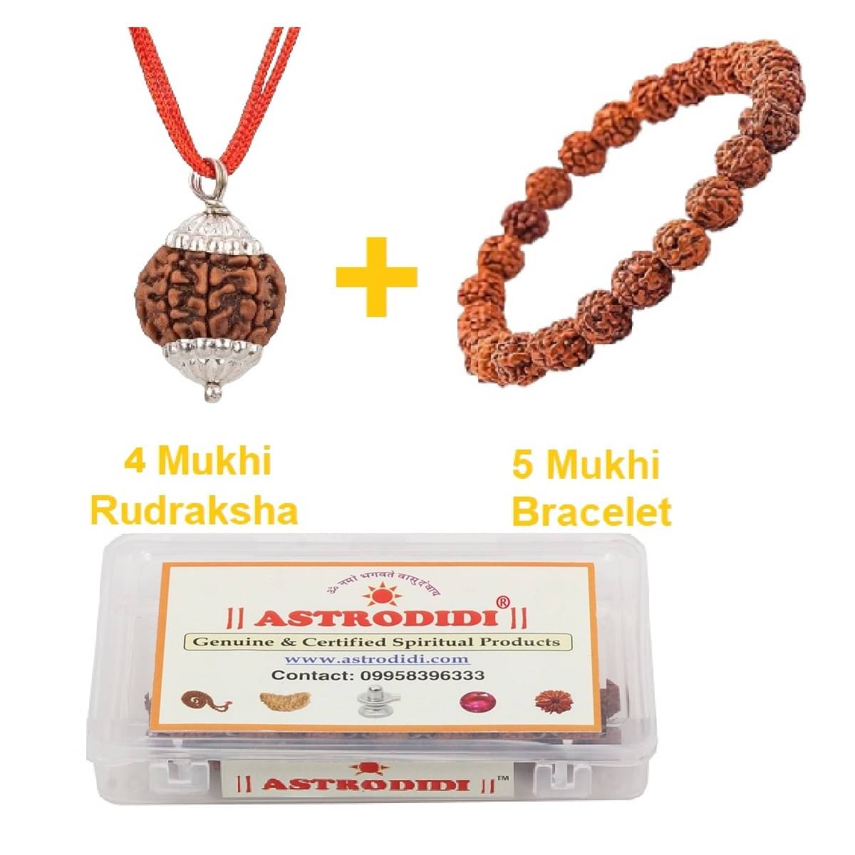     			Nepali 4 Mukhi Rudraksha Pendant with 5 Mukhi Rudraksha Bracelet