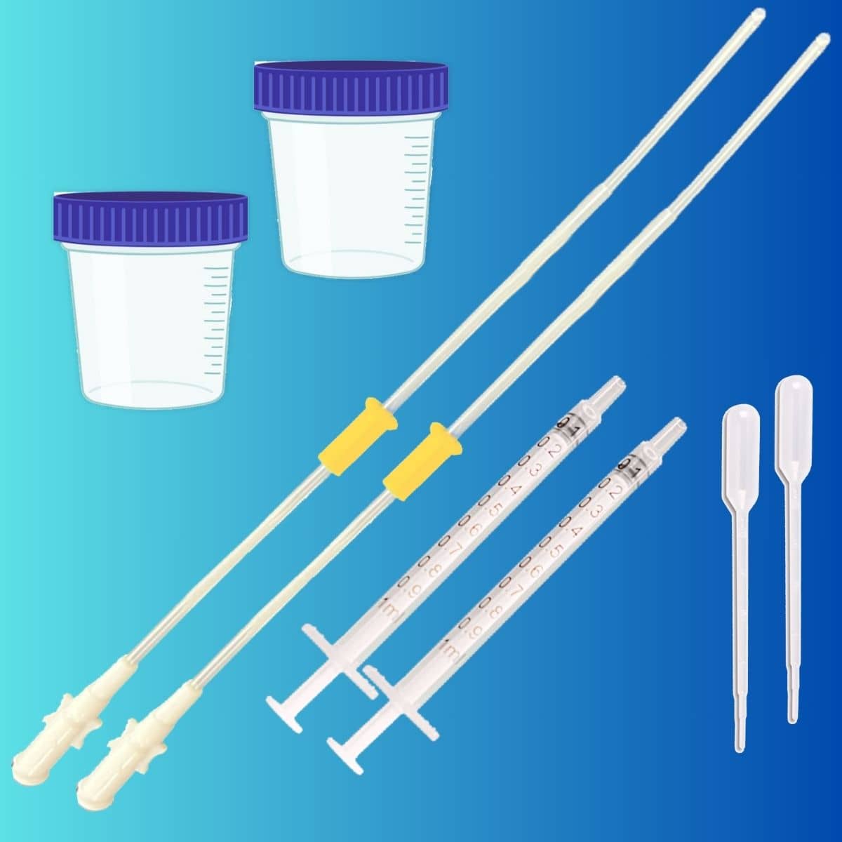 IUI CANNULA KIT- with CANNULA AND CONTAINER (pack of 2)