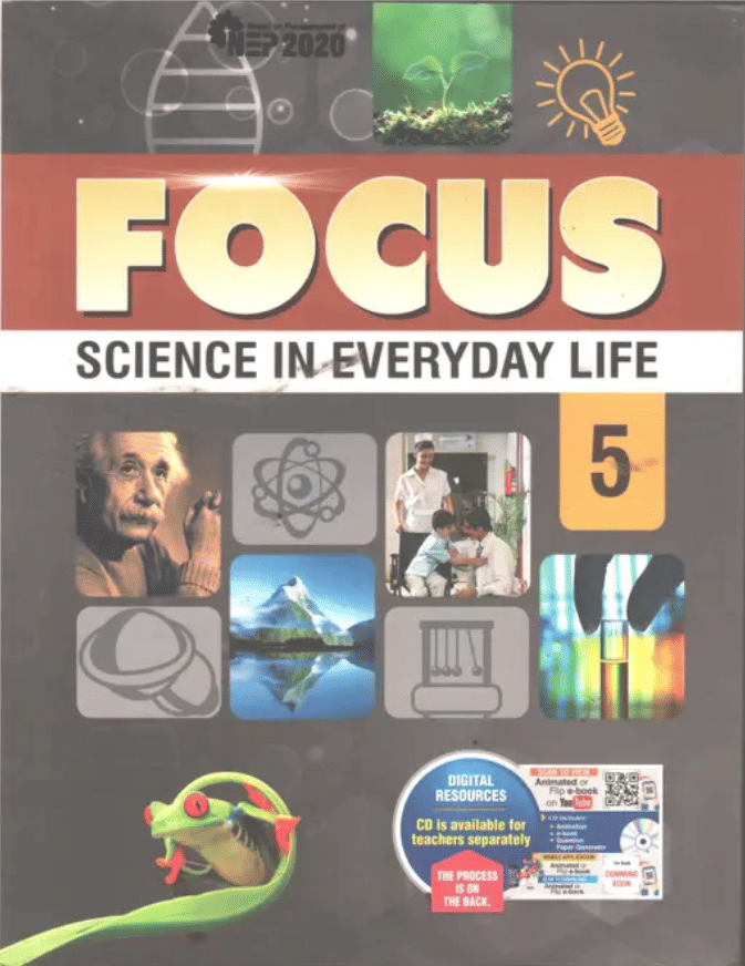     			FOCUS SCIENCE EVERYDAY LIFE CLASS 5