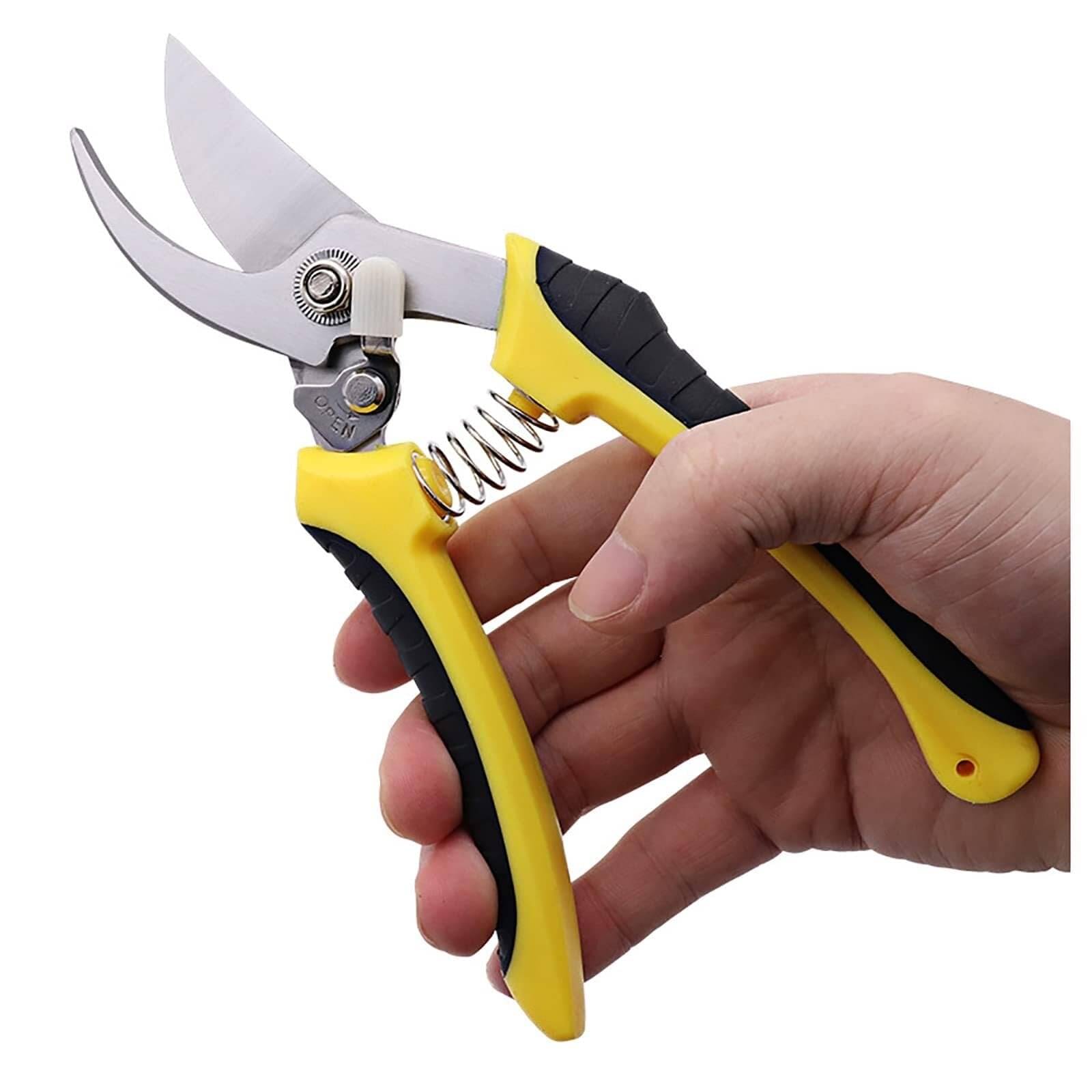     			Shears Pruning Scissors – Bypass Hand Pruners for Plants, Flowers, Trees – Sharp Stainless Steel Blades, Ergonomic Grip, Gardening Tools for Precision Trimming" 8 inch