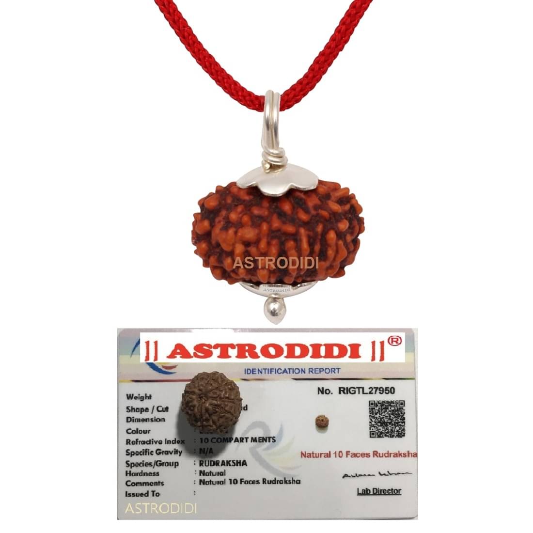 10 Mukhi Rudraksha Ten Face Small Indonesian Java Rudraksha Pendant with Lab Report 10 Mukhi Rudraksha Ten Face Small Indonesian Java Rudraksha Pendant with Lab Report