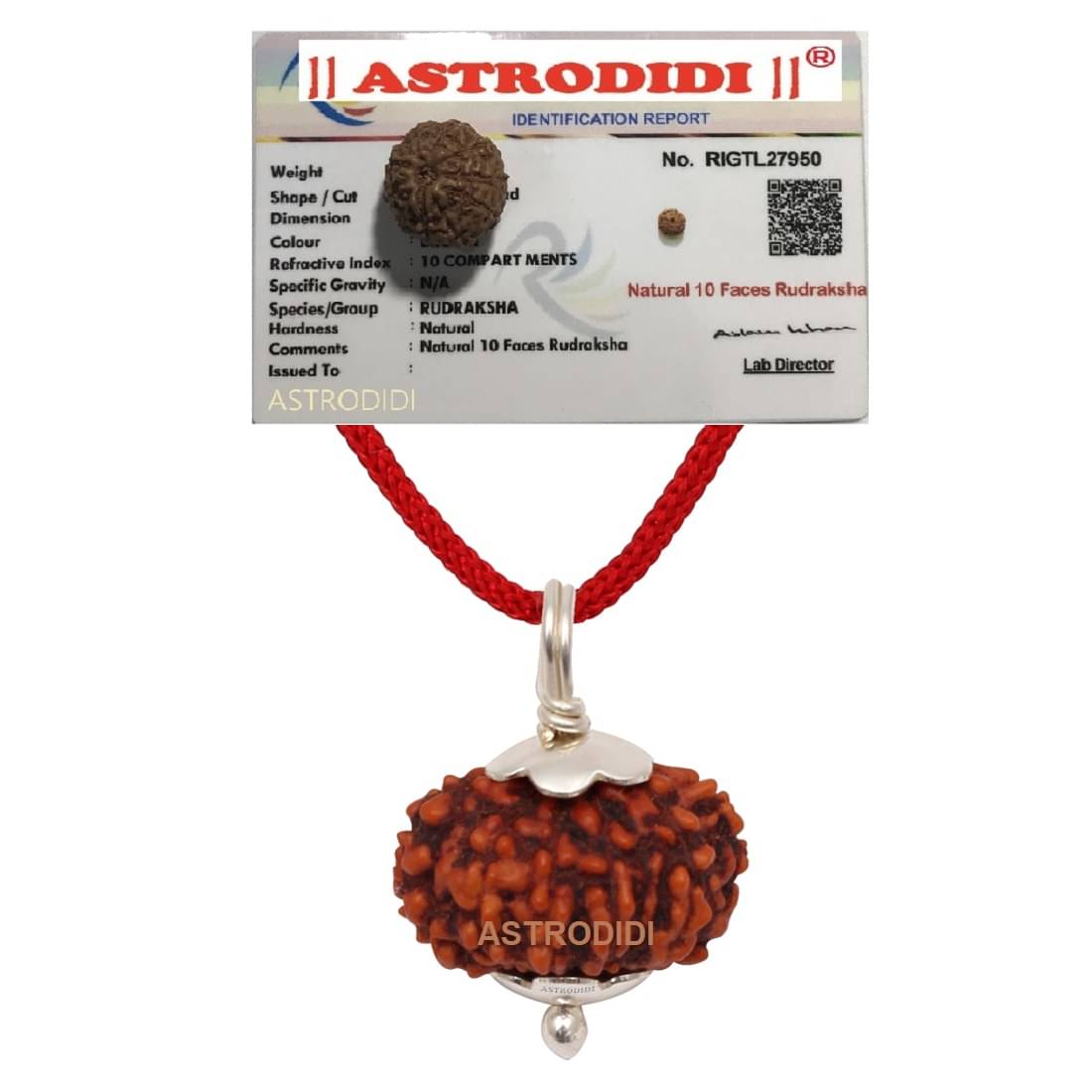 10 Mukhi Rudraksha Ten Face Small Indonesian Java Rudraksha Pendant with Lab Certificate 10 Mukhi Rudraksha Ten Face Small Indonesian Java Rudraksha Pendant with Lab Certificate