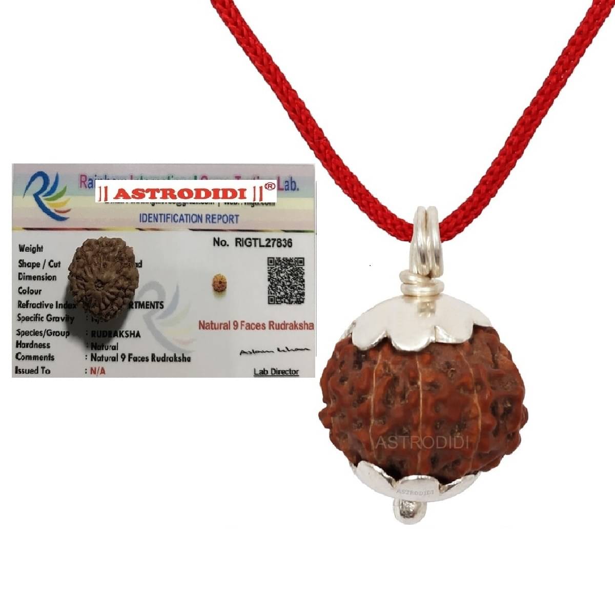 9 Mukhi Rudraksha Nine Face Small Indonesian Java Rudraksha Pendant with Lab Report 9 Mukhi Rudraksha Nine Face Small Indonesian Java Rudraksha Pendant with Lab Report
